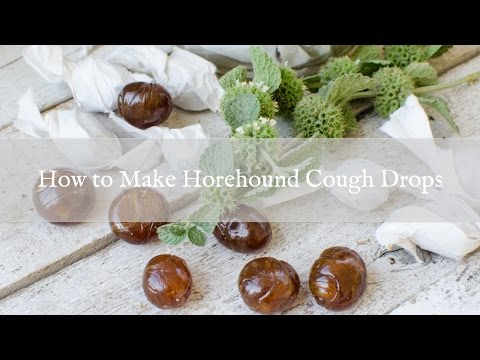 download lagu mp3 mp4 How To Make Horehound Cough Drops, download lagu How To Make Horehound Cough Drops gratis, unduh video klip How To Make Horehound Cough Drops