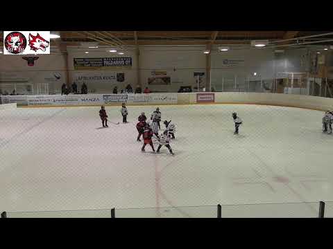 LL-89 - Jokipojat U10, 13.2.2022, Lapinlahti