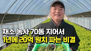 20대에 귀농해서 일년에 20억씩 쌈채소 직거래로 파는 청년농부