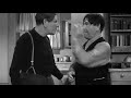 The Three Stooges Shemp Asking Why