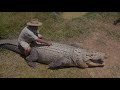 Blackfoot - Livin' in the Limelight (Australian Crocodile Trainer's Clip) - Circus Highlights Clip's / Цирк Наше Всё! Blackfoot - Livin' in the Limelight (Australian Crocodile Trainer's Clip)