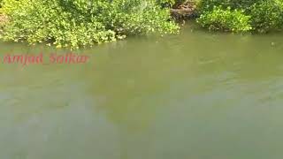 preview picture of video 'Vaghotan River,Amberi Bridge .......(Ratnagiri)'