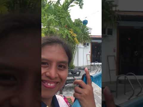 akira's birthday surprised money fulling in cake 🎂