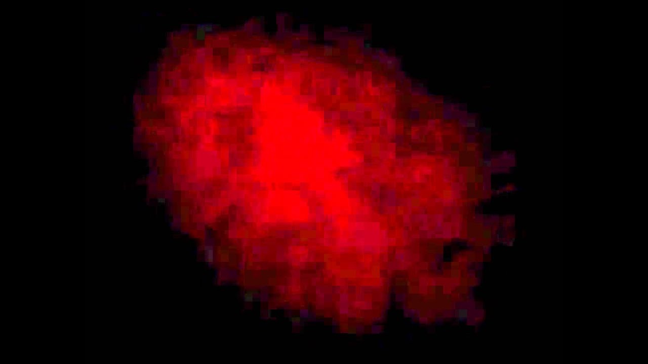 Charles Osgood - CBS News Sunday Morning - 1997 Peabody Award Acceptance Speech