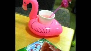 PRETTY FLAMINGO