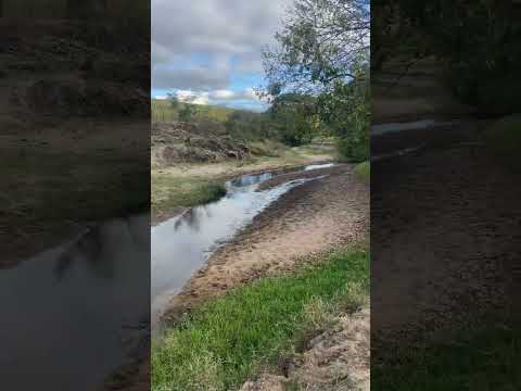 Rio boacica sítio espinheiro/Feira Grande-AL#nordeste #alagoas #viral #fazenda #pecuarista #shorts