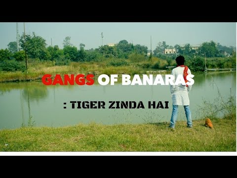 Shiven Singh Gangs of banaras:tiger zinda hai