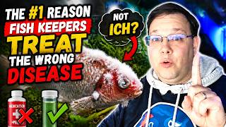 Why Your Fish Doesn't Have Ich | Check This First
