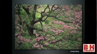 Michael Melford: Qualities of Light and Composition