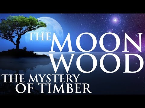 download lagu mp3 mp4 Moon Wood House, download lagu Moon Wood House gratis, unduh video klip Moon Wood House
