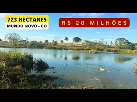 Fazenda a venda em Goiás com 723 Hectares | Terra Vermelha, Muita Água e Alto Potencial | R$ 20 MI