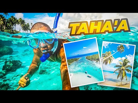 This Is Why You Should Visit Taha'a French Polynesia