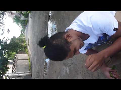 mogoka time and doing nothing(best of bombolulu) watch till the end #Mombasa #dayout