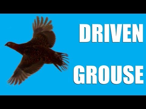 Fieldsports Britain : Driven grouse, Birr Castle game fair and foxing  (episode 144)