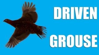 Fieldsports Britain : Driven grouse, Birr Castle game fair and foxing (episode 144)