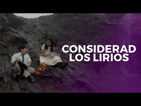 Considerad los Lirios