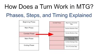 How Turns Work in MTG | Phases, Steps, & Priority Explained