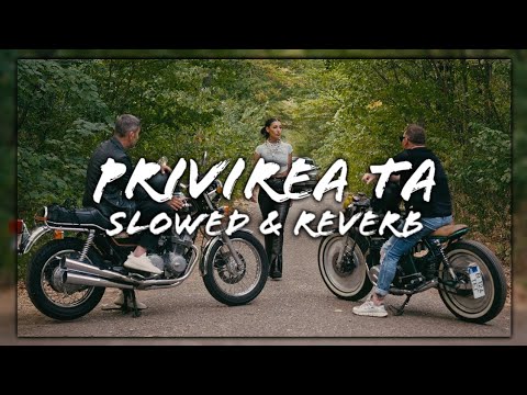 Dj Project x Alina Eremia - Privirea Ta (Slowed + Reverb)
