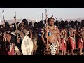 Reed Dance Ceremony In Swaziland