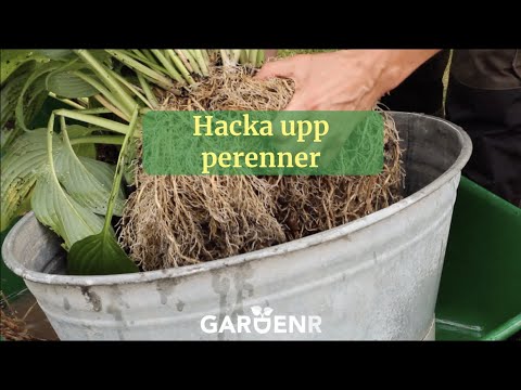 Hacka upp perenner - Trädgårdshacks med GardenR