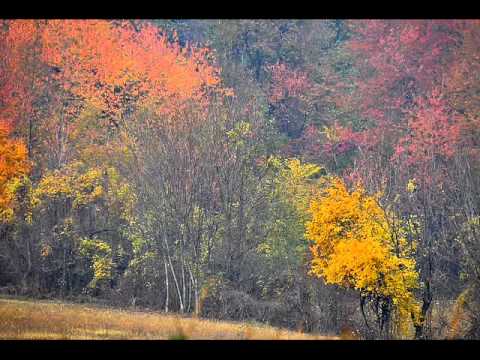 Get here VIVIANA BUONOMO.wmv