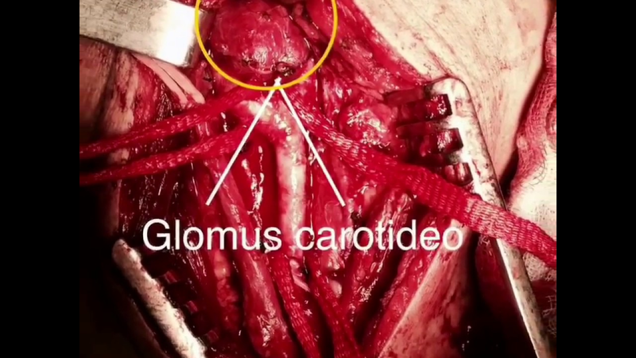 Nahieli Malo Martínez-17