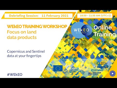 Debriefing session WEkEO Training focus on Land Themes