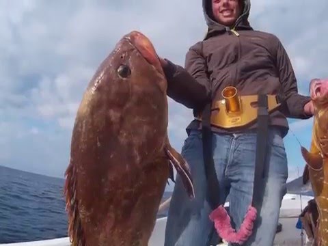 TRAINA COL VIVO   DOPPIO STRIKE  CERNIE - DIC '15 -