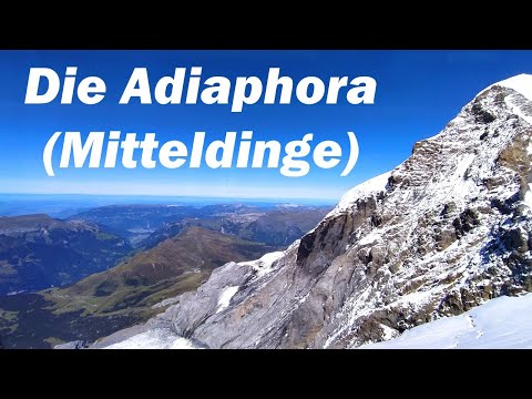 Die Adiaphora (Mitteldinge)  - FE 017
