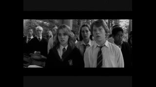 Ron and Hermione- Girls Death in Vegas