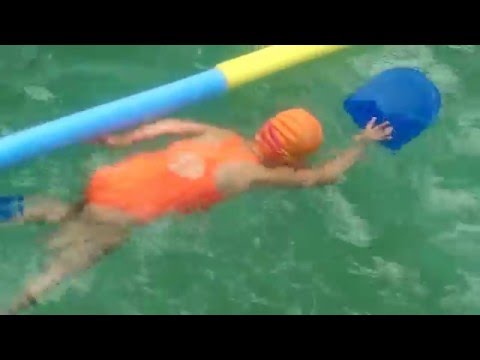 Leafe Elite Swim School - 1