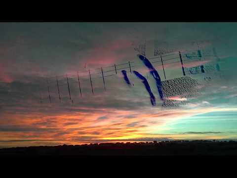 Te Quiero Libre - Paradoxus Luporum