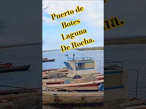 Puerto de Botes en la laguna de Rocha  #rocha #uruguay #cfmoto  #turismouruguay #turismo #pesca