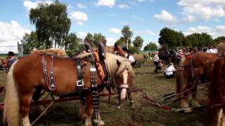 preview picture of video 'Knoblauchsländer Pferdetag 2010 Nürnberg-Buch 2010 08 15'