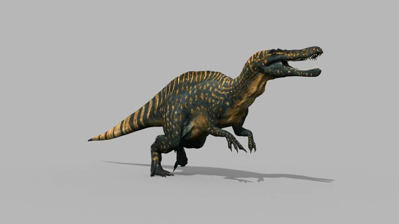 Suchomimus animado real - 8K Modelo 3D
