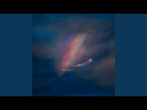 Swallow - Pool Kids