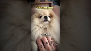 canta parabéns kkkkkk