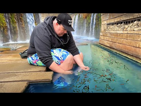 Aquarium Co-Op and CHRIS LUKHAUP