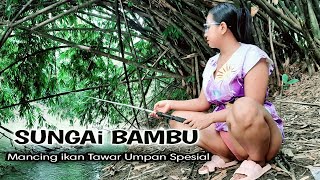 Download lagu Mancing ikan air tawar di SUNGAI HUTAN BAMBU' kampung pedesaan mp3