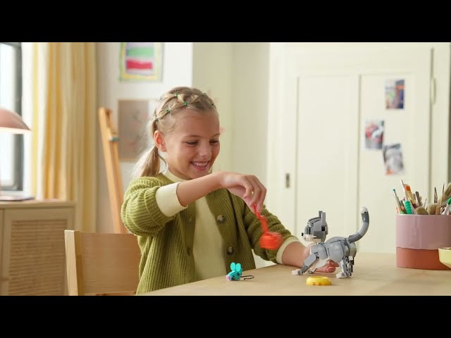 Vídeo relacionado con LEGO Creator 3 en 1 Gato Juguetón de Juguete - Transformable en Figura Articulada de Perro o Paloma - Juego con Animales - Regalo de Cumpleaños para Niñas y Niños de 8+ Años 31163