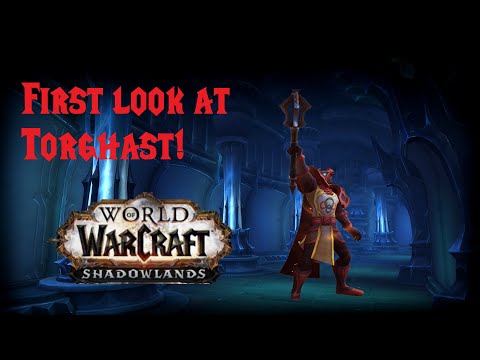 First Look of Torghast! Looking fun so far! -World of Warcraft Shadowlands-