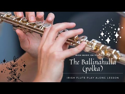 Irish Music on Silver Flute | Irish Flute Play Along Lesson | The Ballinahulla