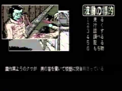 Promotional video (PV)