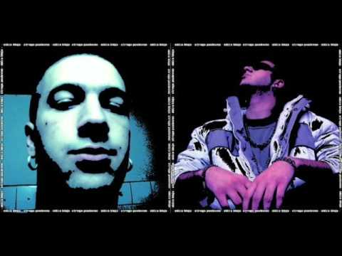 Nidza Bleja - Idealna Stvar