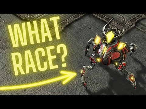 Not your Standard Matchup: StarCraft 2 Grandmasters meet the Custom Scion Races!