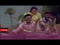 Vanathai Pola BGM