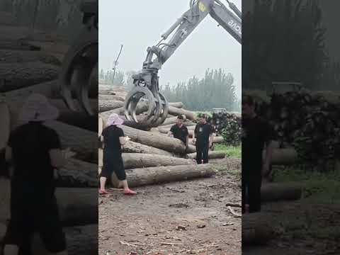 ✅BD wheel excavator with gripper hydraulic grab crane material loader handler made in China.