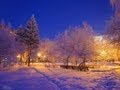 Чудеса под Новый Год! - Miracles in the New Year! 