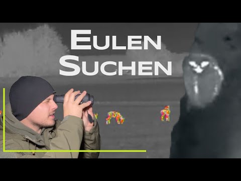 Searching for owls with thermal imaging cameras