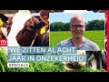 Stikstofcrisis en jonge boeren: hoe nu verder? | Boer & Toekomst (3)